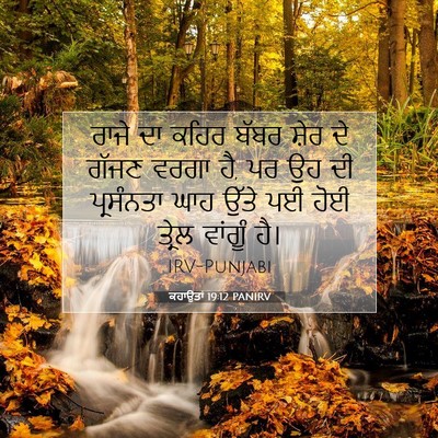Picture 07 - ਕਹਾਉਤਾਂ 19:12 PANIRV - ਰਾਜੇ ਦਾ ਕਹਿਰ ਬੱਬਰ - Bible Verse Picture