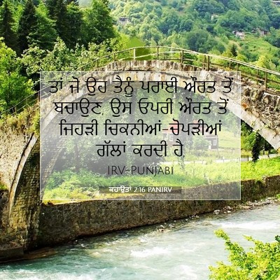 Picture 07 - ਕਹਾਉਤਾਂ 2:16 PANIRV - ਤਾਂ ਜੋ ਉਹ ਤੈਨੂੰ - Bible Verse Picture