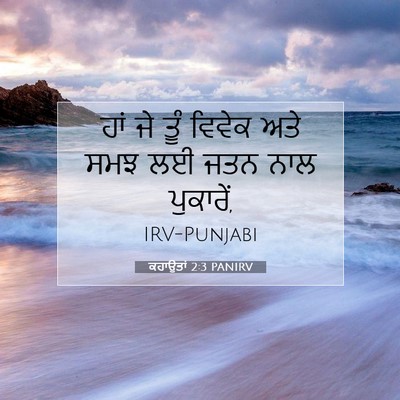 Picture 07 - ਕਹਾਉਤਾਂ 2:3 PANIRV - ਹਾਂ ਜੇ ਤੂੰ ਵਿਵੇਕ - Bible Verse Picture