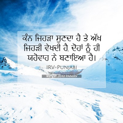 Picture 07 - ਕਹਾਉਤਾਂ 20:12 PANIRV - ਕੰਨ ਜਿਹੜਾ ਸੁਣਦਾ ਹੈ - Bible Verse Picture