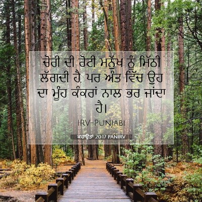 Picture 07 - ਕਹਾਉਤਾਂ 20:17 PANIRV - ਚੋਰੀ ਦੀ ਰੋਟੀ ਮਨੁੱਖ - Bible Verse Picture