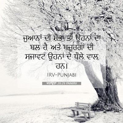 Picture 07 - ਕਹਾਉਤਾਂ 20:29 PANIRV - ਜੁਆਨਾਂ ਦੀ ਸ਼ੋਭਾ - Bible Verse Picture