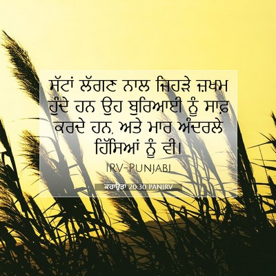 Picture 07 - ਕਹਾਉਤਾਂ 20:30 PANIRV - ਸੱਟਾਂ ਲੱਗਣ ਨਾਲ - Bible Verse Picture