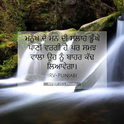 Picture 07 - ਕਹਾਉਤਾਂ 20:5 PANIRV - ਮਨੁੱਖ ਦੇ ਮਨ ਦੀ ਸਲਾਹ - Bible Verse Picture