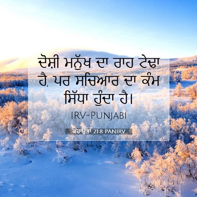 Picture 07 - ਕਹਾਉਤਾਂ 21:8 PANIRV - ਦੋਸ਼ੀ ਮਨੁੱਖ ਦਾ ਰਾਹ - Bible Verse Picture