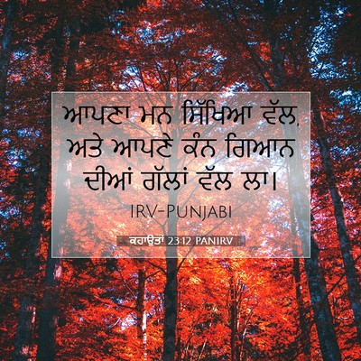 Picture 07 - ਕਹਾਉਤਾਂ 23:12 PANIRV - ਆਪਣਾ ਮਨ ਸਿੱਖਿਆ ਵੱਲ, - Bible Verse Picture