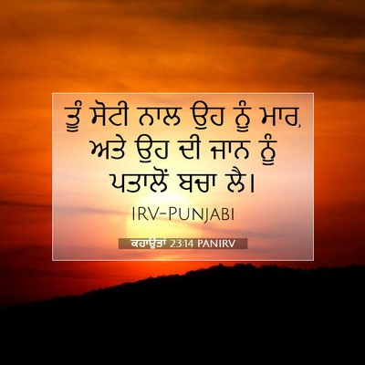 Picture 07 - ਕਹਾਉਤਾਂ 23:14 PANIRV - ਤੂੰ ਸੋਟੀ ਨਾਲ ਉਹ ਨੂੰ - Bible Verse Picture