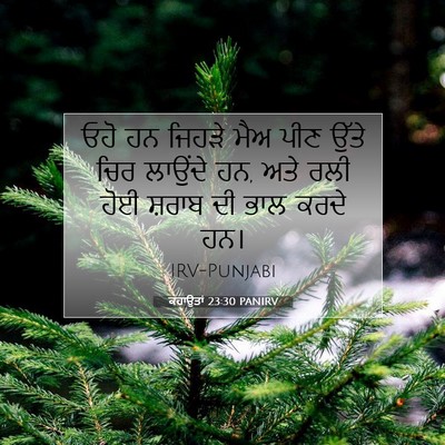 Picture 07 - ਕਹਾਉਤਾਂ 23:30 PANIRV - ਓਹੋ ਹਨ ਜਿਹੜੇ ਮੈਅ - Bible Verse Picture