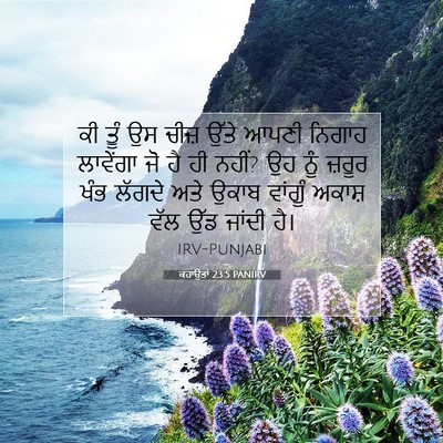 Picture 07 - ਕਹਾਉਤਾਂ 23:5 PANIRV - ਕੀ ਤੂੰ ਉਸ ਚੀਜ਼ ਉੱਤੇ - Bible Verse Picture