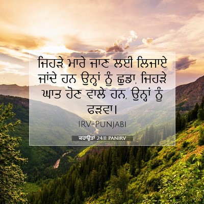 Picture 07 - ਕਹਾਉਤਾਂ 24:11 PANIRV - ਜਿਹੜੇ ਮਾਰੇ ਜਾਣ ਲਈ - Bible Verse Picture