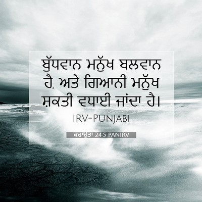 Picture 07 - ਕਹਾਉਤਾਂ 24:5 PANIRV - ਬੁੱਧਵਾਨ ਮਨੁੱਖ - Bible Verse Picture