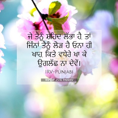 Picture 07 - ਕਹਾਉਤਾਂ 25:16 PANIRV - ਜੇ ਤੈਨੂੰ ਸ਼ਹਿਦ - Bible Verse Picture