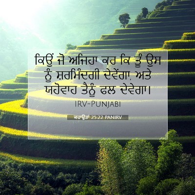 Picture 07 - ਕਹਾਉਤਾਂ 25:22 PANIRV - ਕਿਉਂ ਜੋ ਅਜਿਹਾ ਕਰ ਕਿ - Bible Verse Picture