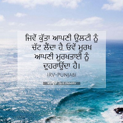 Picture 07 - ਕਹਾਉਤਾਂ 26:11 PANIRV - ਜਿਵੇਂ ਕੁੱਤਾ ਆਪਣੀ - Bible Verse Picture
