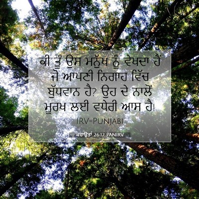 Picture 07 - ਕਹਾਉਤਾਂ 26:12 PANIRV - ਕੀ ਤੂੰ ਉਸ ਮਨੁੱਖ ਨੂੰ - Bible Verse Picture