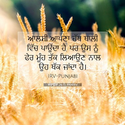 Picture 07 - ਕਹਾਉਤਾਂ 26:15 PANIRV - ਆਲਸੀ ਆਪਣਾ ਹੱਥ ਥਾਲੀ - Bible Verse Picture