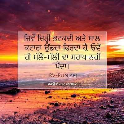 Picture 07 - ਕਹਾਉਤਾਂ 26:2 PANIRV - ਜਿਵੇਂ ਚਿੜ੍ਹੀ - Bible Verse Picture