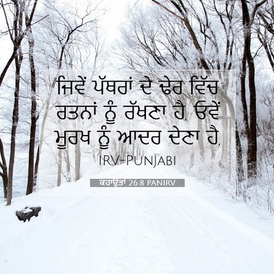 Picture 07 - ਕਹਾਉਤਾਂ 26:8 PANIRV - ਜਿਵੇਂ ਪੱਥਰਾਂ ਦੇ - Bible Verse Picture