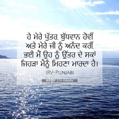 Picture 07 - ਕਹਾਉਤਾਂ 27:11 PANIRV - ਹੇ ਮੇਰੇ ਪੁੱਤਰ, - Bible Verse Picture