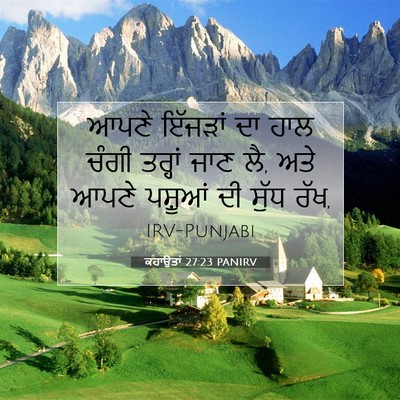 Picture 07 - ਕਹਾਉਤਾਂ 27:23 PANIRV - ਆਪਣੇ ਇੱਜੜਾਂ ਦਾ ਹਾਲ - Bible Verse Picture