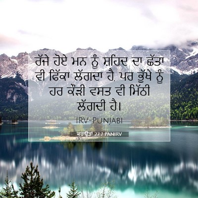 Picture 07 - ਕਹਾਉਤਾਂ 27:7 PANIRV - ਰੱਜੇ ਹੋਏ ਮਨ ਨੂੰ - Bible Verse Picture