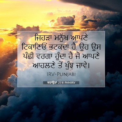 Picture 07 - ਕਹਾਉਤਾਂ 27:8 PANIRV - ਜਿਹੜਾ ਮਨੁੱਖ ਆਪਣੇ - Bible Verse Picture