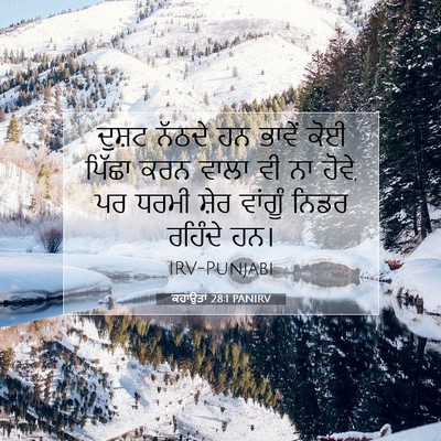 Picture 07 - ਕਹਾਉਤਾਂ 28:1 PANIRV - ਦੁਸ਼ਟ ਨੱਠਦੇ ਹਨ - Bible Verse Picture