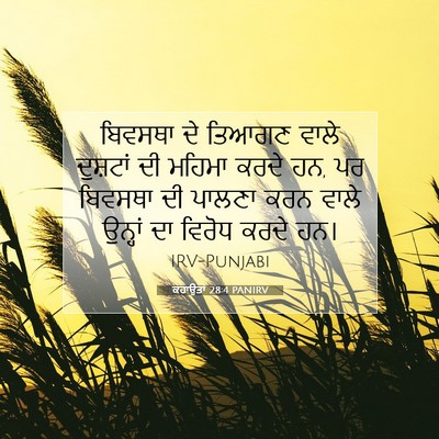 Picture 07 - ਕਹਾਉਤਾਂ 28:4 PANIRV - ਬਿਵਸਥਾ ਦੇ ਤਿਆਗਣ - Bible Verse Picture