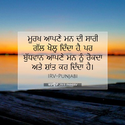 Picture 07 - ਕਹਾਉਤਾਂ 29:11 PANIRV - ਮੂਰਖ ਆਪਣੇ ਮਨ ਦੀ - Bible Verse Picture