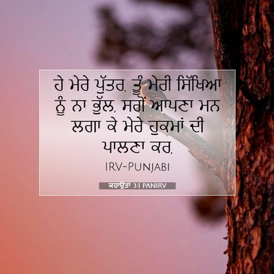 Picture 07 - ਕਹਾਉਤਾਂ 3:1 PANIRV - ਹੇ ਮੇਰੇ ਪੁੱਤਰ, ਤੂੰ - Bible Verse Picture