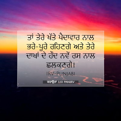 Picture 07 - ਕਹਾਉਤਾਂ 3:10 PANIRV - ਤਾਂ ਤੇਰੇ ਖੱਤੇ - Bible Verse Picture