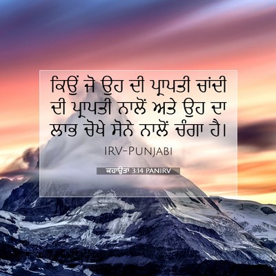 Picture 07 - ਕਹਾਉਤਾਂ 3:14 PANIRV - ਕਿਉਂ ਜੋ ਉਹ ਦੀ - Bible Verse Picture