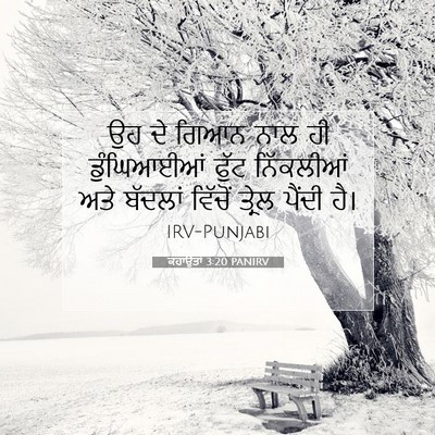 Picture 07 - ਕਹਾਉਤਾਂ 3:20 PANIRV - ਉਹ ਦੇ ਗਿਆਨ ਨਾਲ ਹੀ - Bible Verse Picture