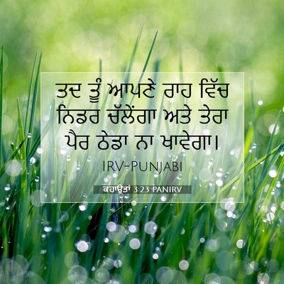 Picture 07 - ਕਹਾਉਤਾਂ 3:23 PANIRV - ਤਦ ਤੂੰ ਆਪਣੇ ਰਾਹ - Bible Verse Picture