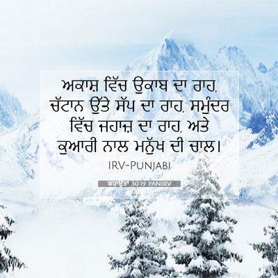 Picture 07 - ਕਹਾਉਤਾਂ 30:19 PANIRV - ਅਕਾਸ਼ ਵਿੱਚ ਉਕਾਬ ਦਾ - Bible Verse Picture