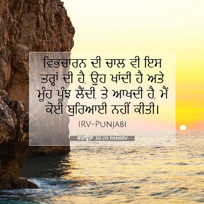 Picture 07 - ਕਹਾਉਤਾਂ 30:20 PANIRV - ਵਿਭਚਾਰਨ ਦੀ ਚਾਲ ਵੀ - Bible Verse Picture