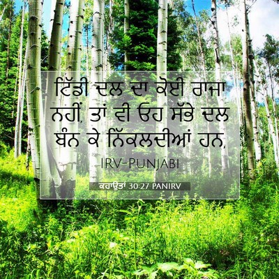 Picture 07 - ਕਹਾਉਤਾਂ 30:27 PANIRV - ਟਿੱਡੀ ਦਲ ਦਾ ਕੋਈ - Bible Verse Picture