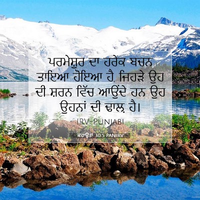 Picture 07 - ਕਹਾਉਤਾਂ 30:5 PANIRV - ਪਰਮੇਸ਼ੁਰ ਦਾ ਹਰੇਕ - Bible Verse Picture