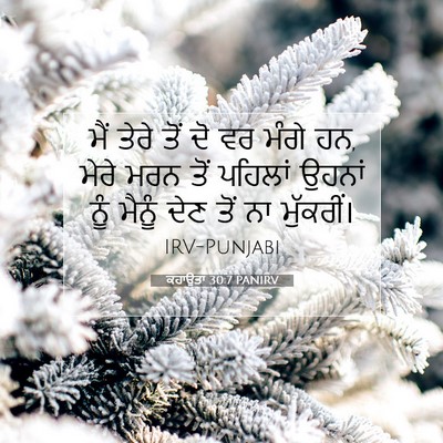 Picture 07 - ਕਹਾਉਤਾਂ 30:7 PANIRV - ਮੈਂ ਤੇਰੇ ਤੋਂ ਦੋ ਵਰ - Bible Verse Picture