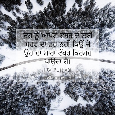 Picture 07 - ਕਹਾਉਤਾਂ 31:21 PANIRV - ਉਹ ਨੂੰ ਆਪਣੇ ਟੱਬਰ ਦੇ - Bible Verse Picture