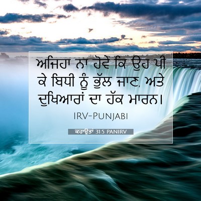 Picture 07 - ਕਹਾਉਤਾਂ 31:5 PANIRV - ਅਜਿਹਾ ਨਾ ਹੋਵੇ ਕਿ ਉਹ - Bible Verse Picture