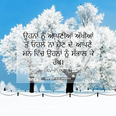 Picture 07 - ਕਹਾਉਤਾਂ 4:21 PANIRV - ਉਹਨਾਂ ਨੂੰ ਆਪਣੀਆਂ - Bible Verse Picture