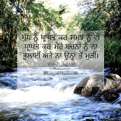 Picture 07 - ਕਹਾਉਤਾਂ 4:5 PANIRV - ਬੁੱਧ ਨੂੰ ਪ੍ਰਾਪਤ ਕਰ, - Bible Verse Picture