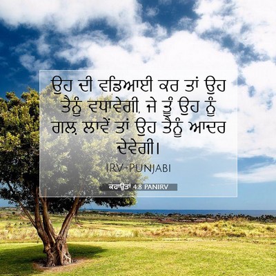 Picture 07 - ਕਹਾਉਤਾਂ 4:8 PANIRV - ਉਹ ਦੀ ਵਡਿਆਈ ਕਰ ਤਾਂ - Bible Verse Picture