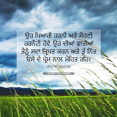 Picture 07 - ਕਹਾਉਤਾਂ 5:19 PANIRV - ਉਹ ਪਿਆਰੀ ਹਰਨੀ ਅਤੇ - Bible Verse Picture