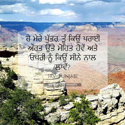 Picture 07 - ਕਹਾਉਤਾਂ 5:20 PANIRV - ਹੇ ਮੇਰੇ ਪੁੱਤਰ, ਤੂੰ - Bible Verse Picture