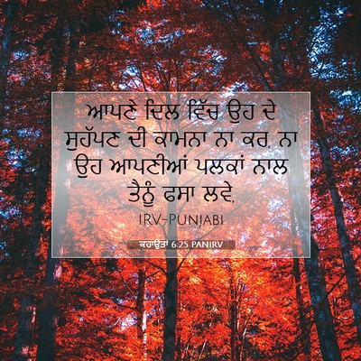 Picture 07 - ਕਹਾਉਤਾਂ 6:25 PANIRV - ਆਪਣੇ ਦਿਲ ਵਿੱਚ ਉਹ ਦੇ - Bible Verse Picture