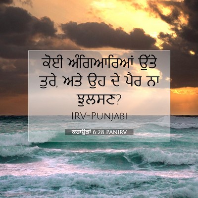 Picture 07 - ਕਹਾਉਤਾਂ 6:28 PANIRV - ਕੋਈ ਅੰਗਿਆਰਿਆਂ - Bible Verse Picture
