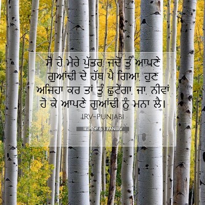 Picture 07 - ਕਹਾਉਤਾਂ 6:3 PANIRV - ਸੋ ਹੇ ਮੇਰੇ ਪੁੱਤਰ, - Bible Verse Picture