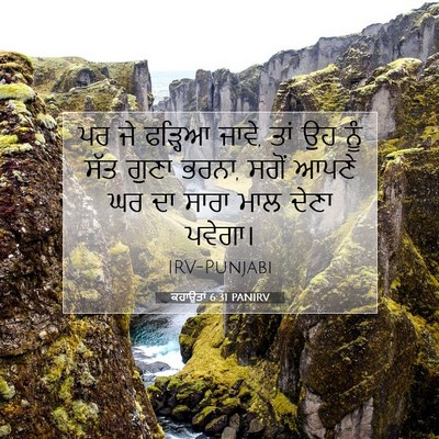 Picture 07 - ਕਹਾਉਤਾਂ 6:31 PANIRV - ਪਰ ਜੇ ਫੜ੍ਹਿਆ ਜਾਵੇ, - Bible Verse Picture
